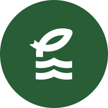 Logotipo fondo verde